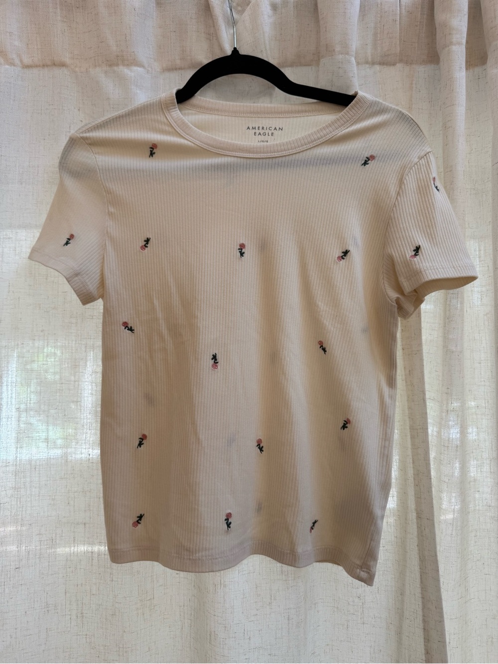 American Eagle Outfitters Cream Short Sleeve Tee with Pink Rose Embroidery